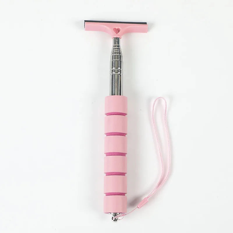 Car Rearview Mirror Wiper Cleaning Tool Auto Glass Mist Cleaner
