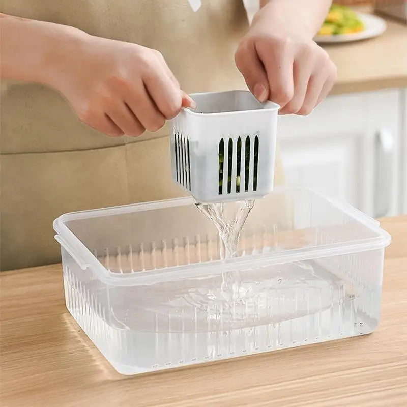 Refrigerator Storage Box 4/6 Grid Food Vegetable Fruit Storage Box